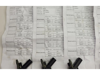 Комплект жиклеров (форсунок) 1353-7805428   BMW 5 F10 F11