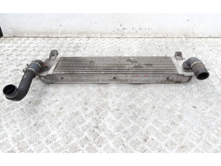 Интеркулер G3062007, 14461BB30A Nissan Qashqai+2