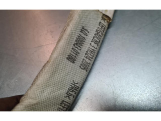 Боковая подушка безопасности 8200025442, 10884301180   Renault Trafic II (X83)