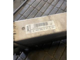 Интеркулер  A2515000000   Mercedes-Benz R W251 