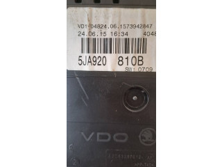 Панель приборов 5JA920810B, VD10482406   Skoda Rapid (NH)       