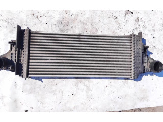 Интеркулер Mercedes-Benz R W251