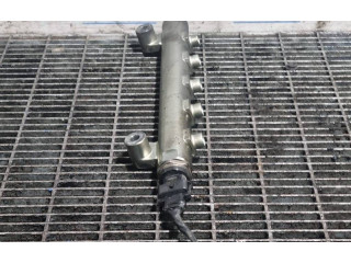 Vstřikovací lišta 001447, 0445214174 Chevrolet Captiva Z 20 DMH, Z 20 S