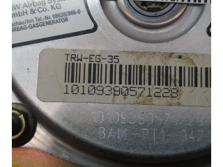 Подушка безопасности двери 1010939   Seat Inca (6k)