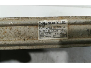 Интеркулер SsangYong Kyron