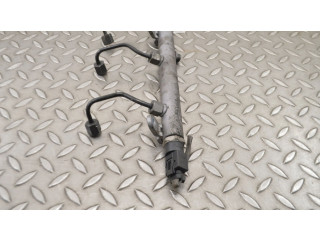 Vstřikovací lišta A6420700295, A6110780449 Mercedes-Benz S W221