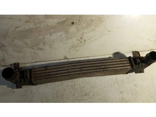 Интеркулер  132002748A   Ford Galaxy 1.9