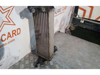 Интеркулер     Ford Transit -  Tourneo Connect 