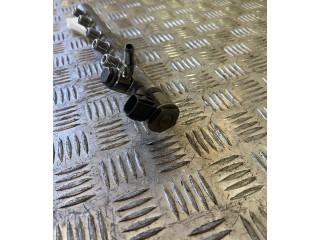 Топливная рампа 31303612   Volvo XC90  