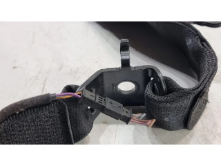 Средняя поясная пряжка ()