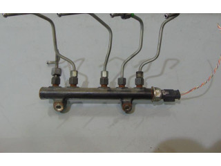 Vstřikovací lišta 9685297580 Citroen C3