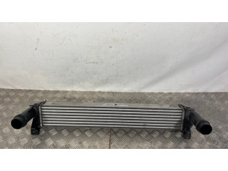 Интеркулер 52014780AB, AA1271004733 Jeep Cherokee 2.2