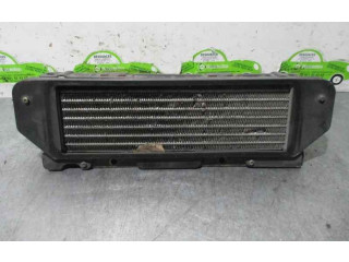 Интеркулер 279014600108, 402181 Tata Indigo I