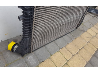 Радиатор интеркулера 1K0145803BM, 1K0121251DM   Skoda Yeti (5L)       