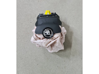 Подушка безопасности водителя 5E3880201AA, 20222261049   Skoda Octavia Mk4