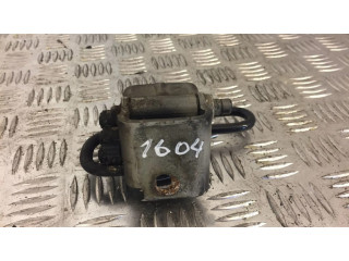 Передняя нижняя петля