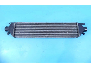 Интеркулер 857391, IMPRK1184559 Fiat Linea