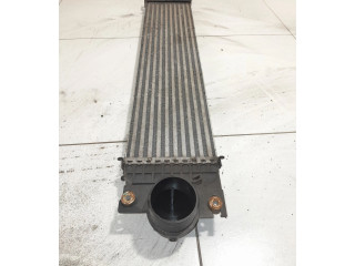 Интеркулер  E1G36K775JA   Ford S-MAX 