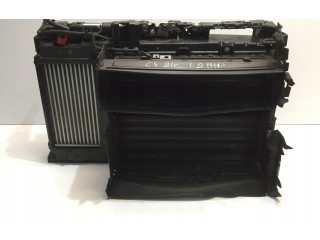 Vstřikovací čerpadlo 9824742280, 9834565780 Citroen C4 III e-C4