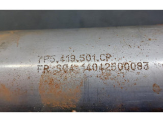 Volant Porsche Cayenne (92A) 2014 7P5419501CP, 97062434700