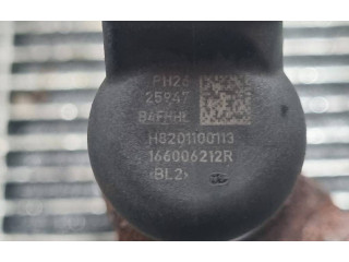 Жиклер (жиклеры) (форсунка (форсунки) 166006212R, H8201100113   Dacia Duster    