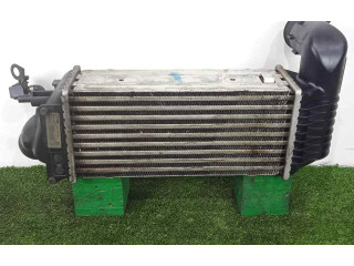 Интеркулер 9637809480-IA1008, 137X301X86 Peugeot 607