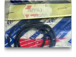 Блок управления двигателем ECU 7679143   Fiat 126