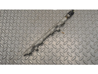 Топливная рампа 05E133320B, 4D0971993 Volkswagen Golf VIII для двигателя DPB