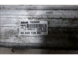 Интеркулер  9803900780   Citroen C3 