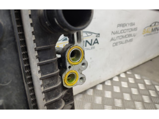 Комплект радиатора Ford Galaxy