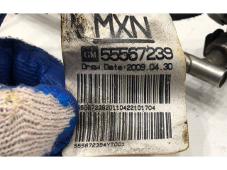 Топливная рампа Chevrolet Cruze II