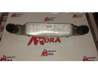 Интеркулер     Citroen Berlingo 