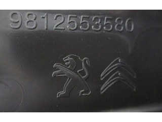 Блок АБС 9812553580   Citroen  C3 Aircross  2017 -  года