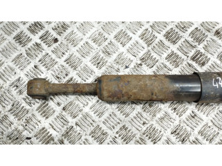 Задний aмортизатор      