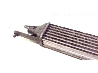 Интеркулер Fiat Grande Punto