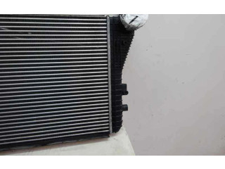 Интеркулер Skoda Octavia Mk2 (1Z)