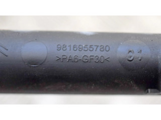 Vstřikovací lišta 9816955780, 9676020480 Citroen C3 pro benzínový motor 1.2