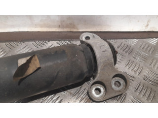 Задний aмортизатор      