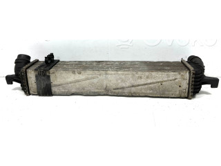 Интеркулер  144960001RG, 144960001R   Renault Laguna III 2.0