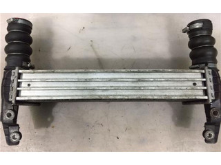 Интеркулер  4999282, FDA4443   Ford Transit -  Tourneo Connect 