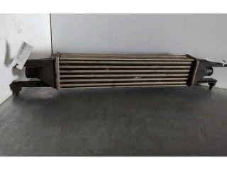 Интеркулер Fiat Punto (199)