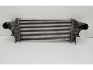 Интеркулер  A1645001900, A1645001900   Mercedes-Benz R W251 