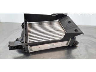 Интеркулер 144965154R Dacia Dokker