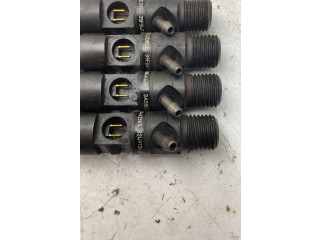 Форсунка 8200365186, 8200365186    Renault Clio III   