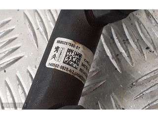 Vstřikovací lišta 968529758001, 94675g01   Citroen Berlingo    9HN 