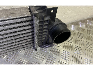 Интеркулер E1G36K775JA Ford Galaxy