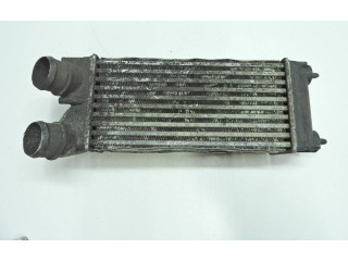 Интеркулер 9656503980, IA1436 Citroen C4 I