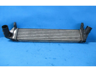 Интеркулер 8200409045 Dacia Logan I