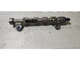 Топливная рампа 55234039, 0445214254   Jeep Cherokee  