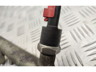 Топливная рампа 0445214019, 0281002283 Peugeot Partner для двигателя rhy